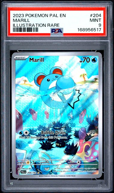 MARILL 204/193 PSA 9 POKEMON PALDEA EVOLVED ILLUSTRATION RARE